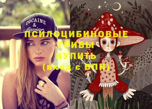 прущая мука Арсеньев